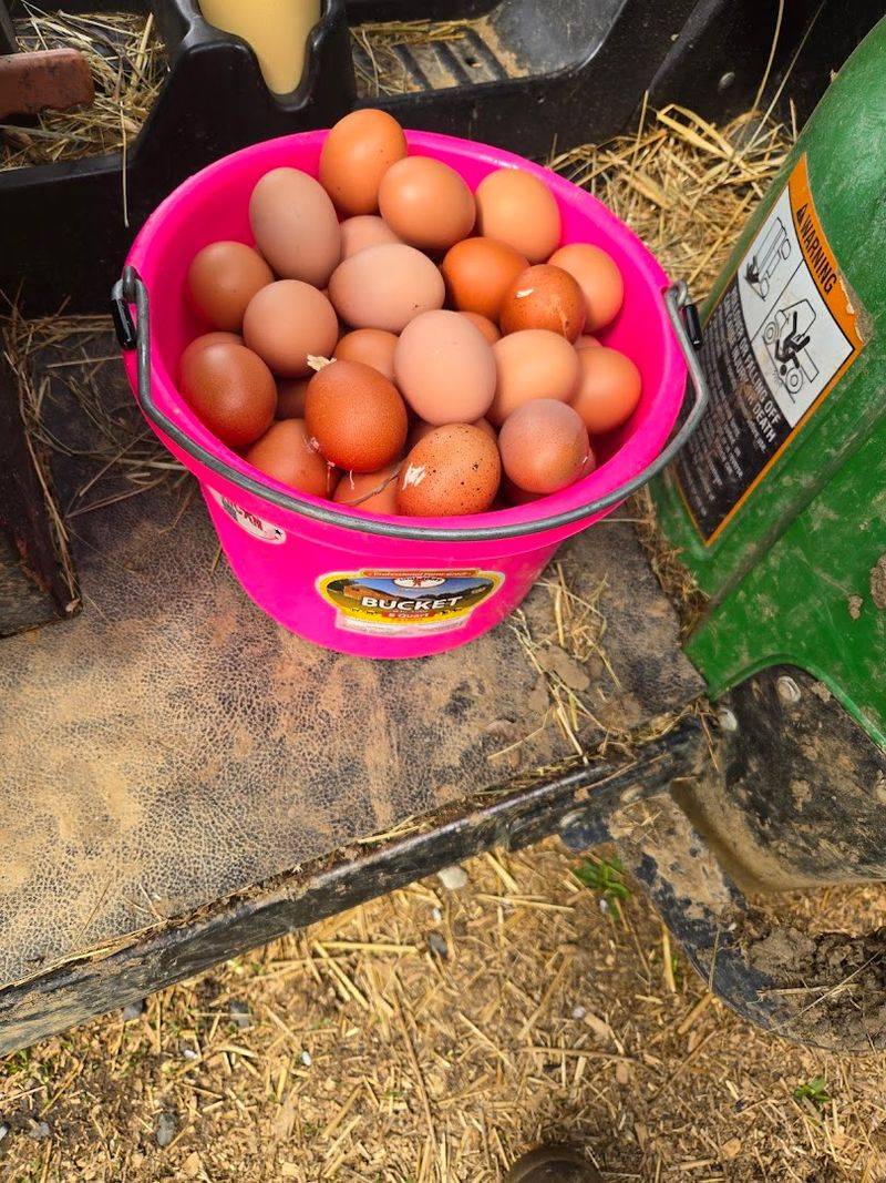 The Farm Stand and the Fresh Finds Worth the Walk The Farm Stand and the Fresh Finds Worth the Walk