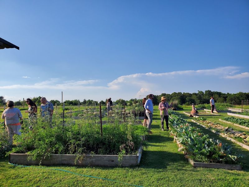 The Farm-to-Table Philosophy That Goes Beyond the Buzzword The Farm-to-Table Philosophy That Goes Beyond the Buzzword