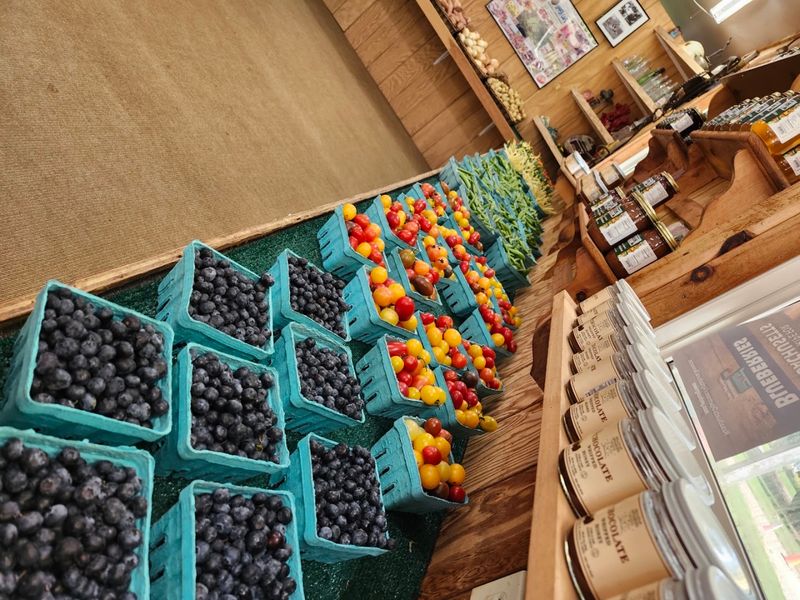 The Farmstand and What You Will Find Inside