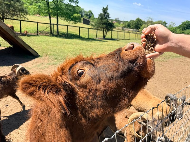 The Feed Bucket That Changes Everything