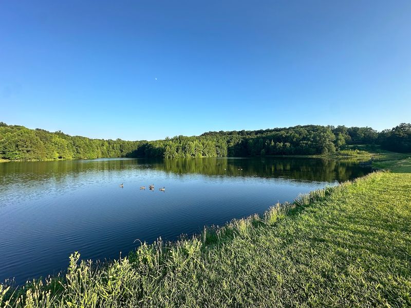 The Fishing Lake and Quieter Corners of the Park