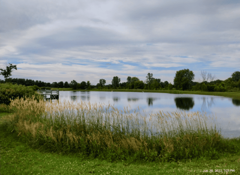 The Fishing Pond That Adds a Whole Different Kind of Quiet The Fishing Pond That Adds a Whole Different Kind of Quiet