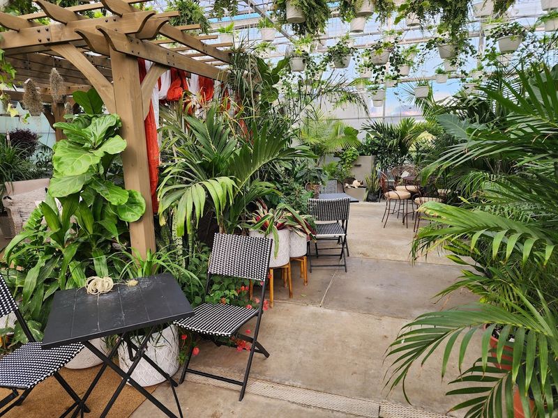 The Floral Cup: A Coffee Shop Inside a Greenhouse The Floral Cup: A Coffee Shop Inside a Greenhouse