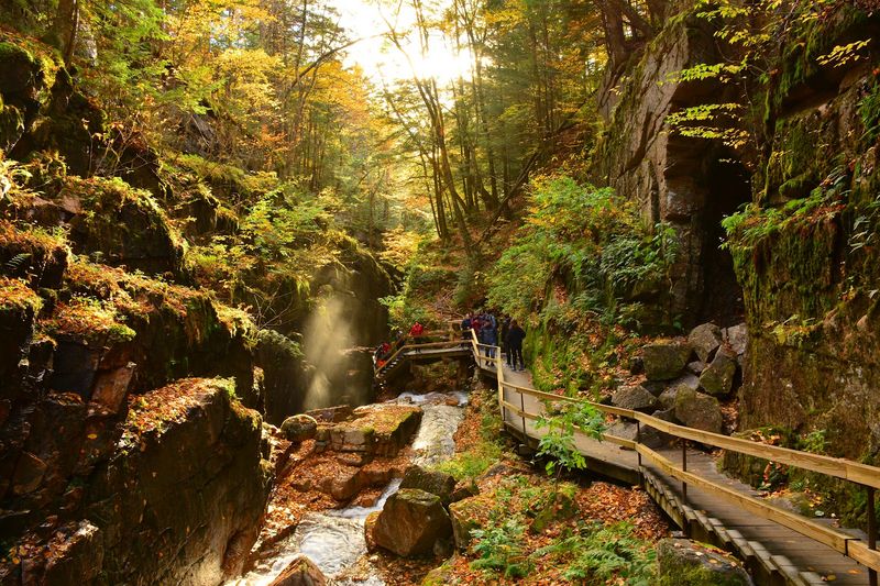 The Flume Gorge, Franconia, New Hampshire The Flume Gorge, Franconia, New Hampshire