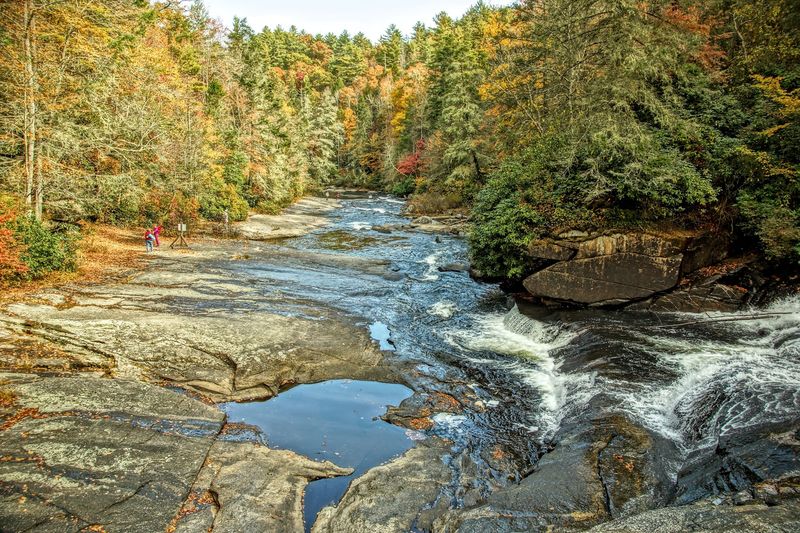 The Forest Scenery Between Waterfalls Is Stunning The Forest Scenery Between Waterfalls Is Stunning