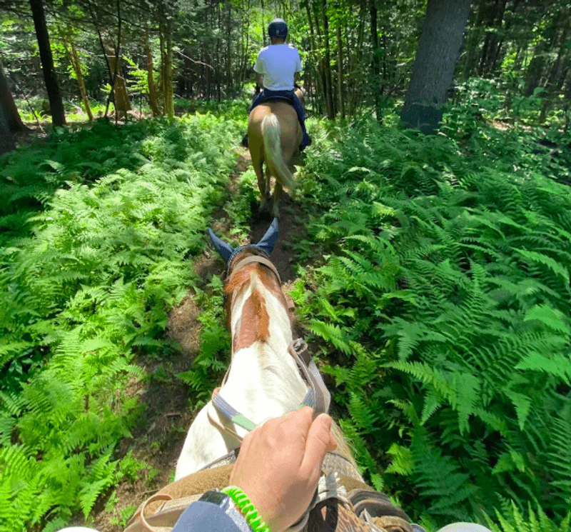 The Forest Trails That Keep People Coming Back The Forest Trails That Keep People Coming Back