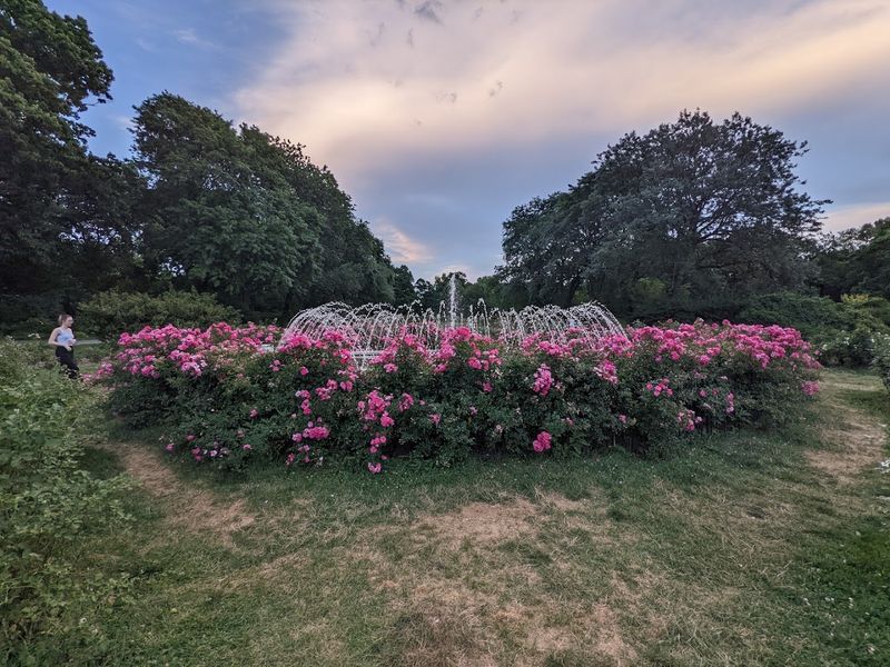 The Formal Rose Garden Is the Crown Jewel The Formal Rose Garden Is the Crown Jewel