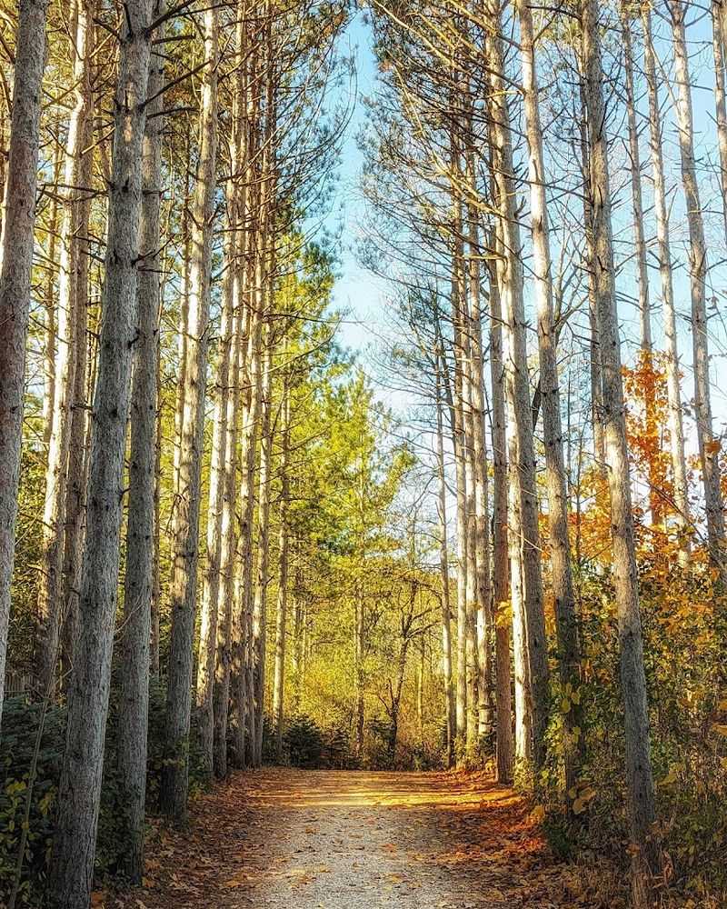 The Four-Mile Trail That Changes Everything The Four-Mile Trail That Changes Everything