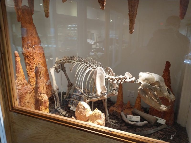 The Free Basement Museum That Changes Everything The Free Basement Museum That Changes Everything