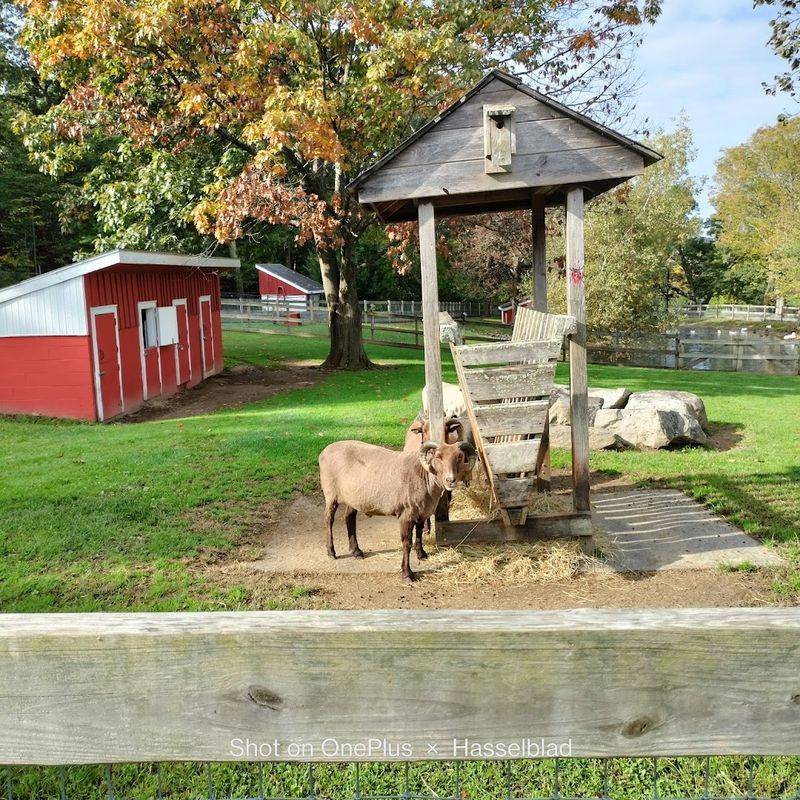 The Free Farm That Keeps Families Coming Back The Free Farm That Keeps Families Coming Back