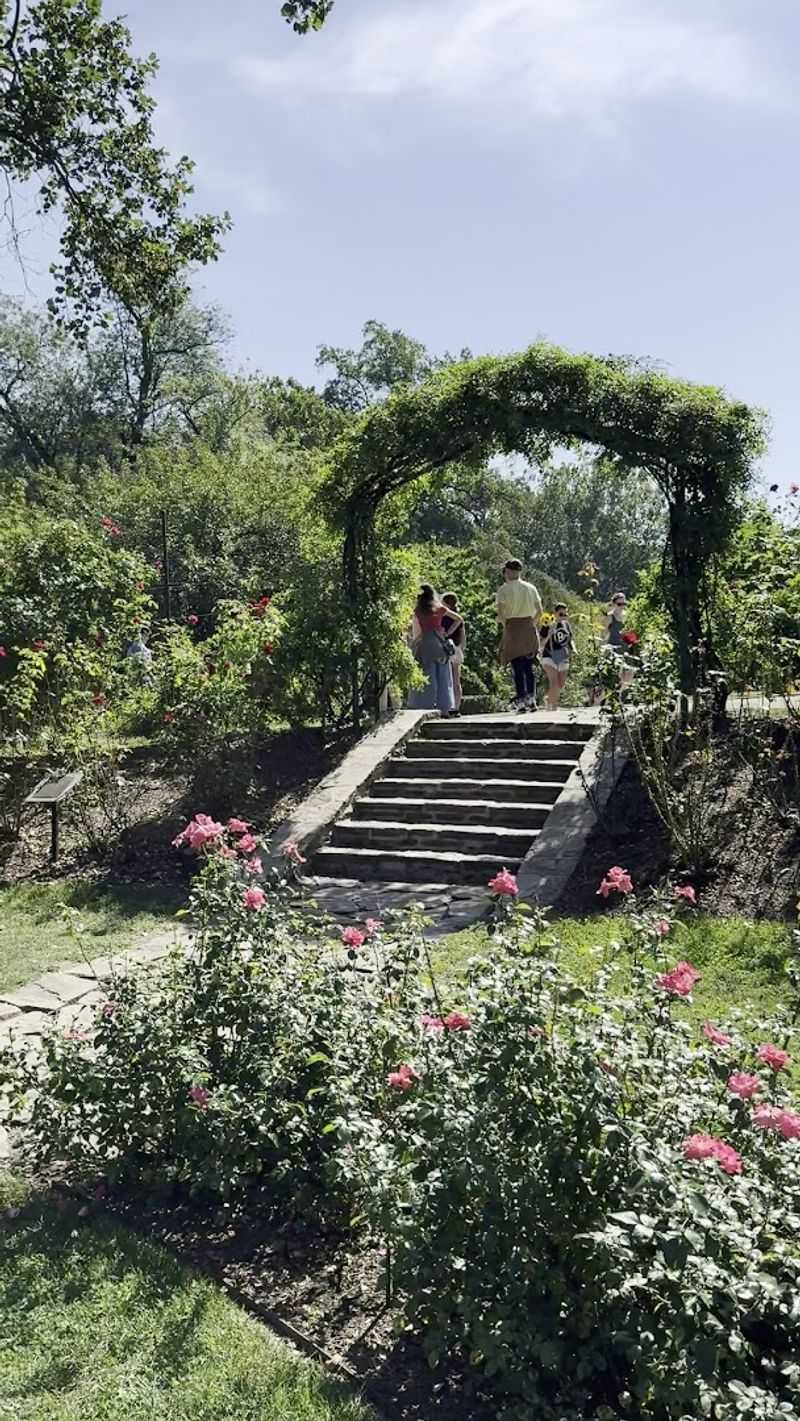 The Friends Who Keep This Garden Alive The Friends Who Keep This Garden Alive
