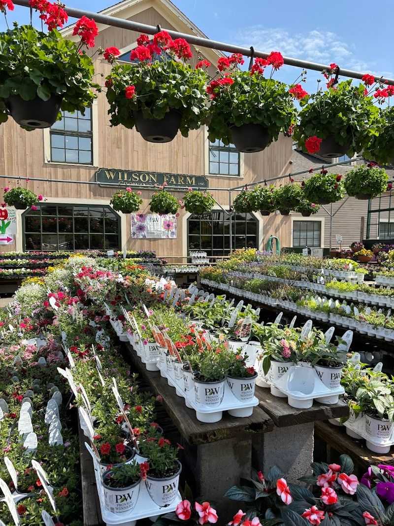 The Garden Center Adds a Whole New Dimension