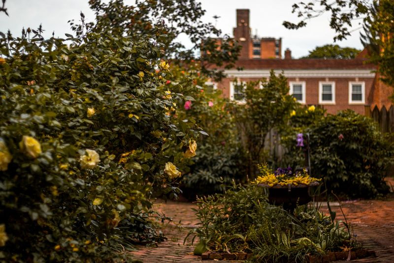 The Garden That Fed His Imagination The Garden That Fed His Imagination