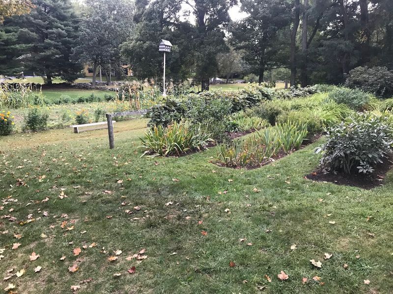 The Garden Thoreau Helped Plant Still Grows On The Property The Garden Thoreau Helped Plant Still Grows On The Property