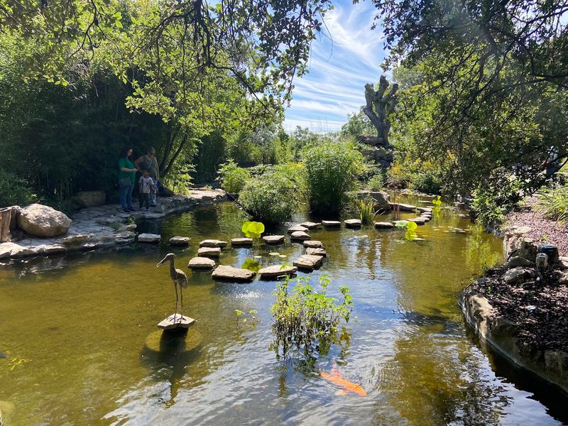 The Garden's Wildlife Beyond the Koi Ponds