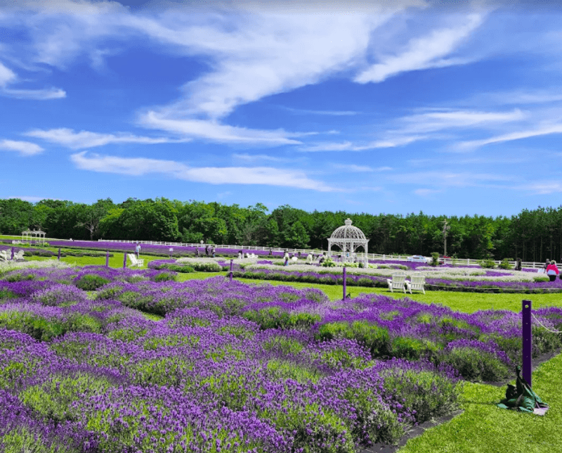 The Gazebo: A Quiet Spot in the Middle of It All