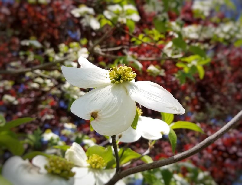 The Generous Story Behind the Gardens The Generous Story Behind the Gardens
