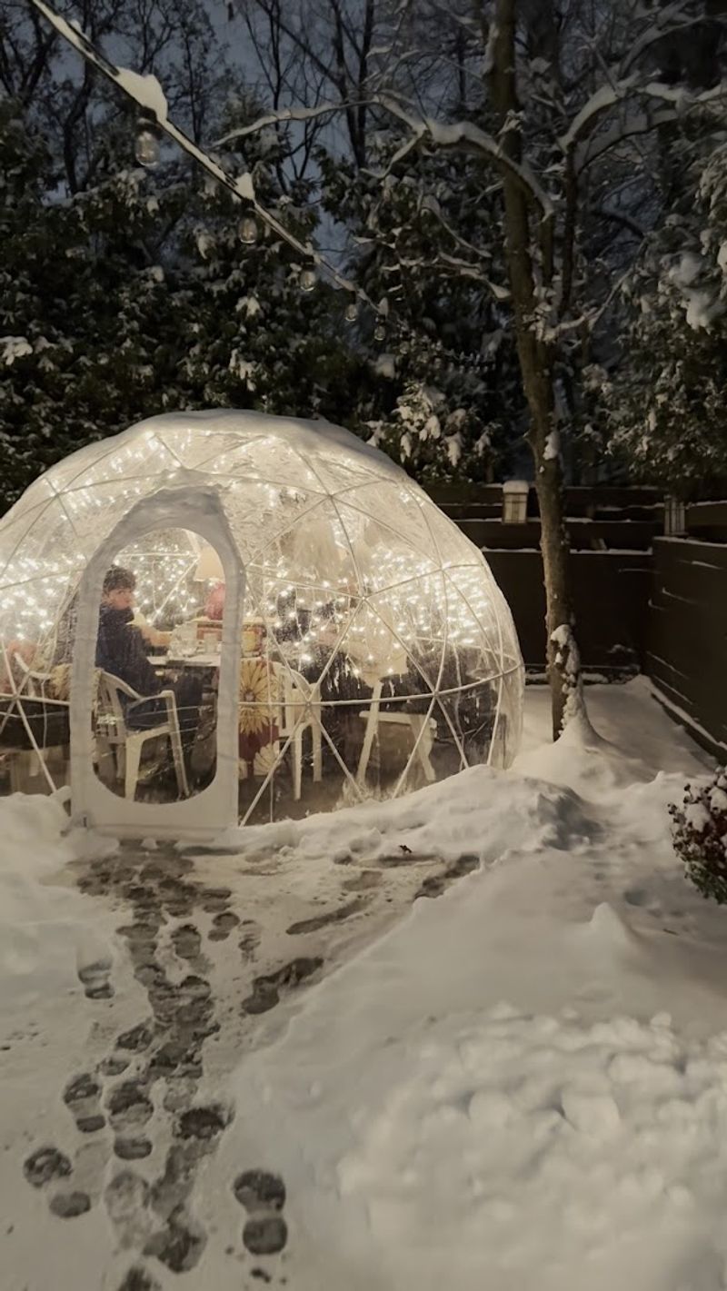 The Geodesic Dome Experience on the Patio