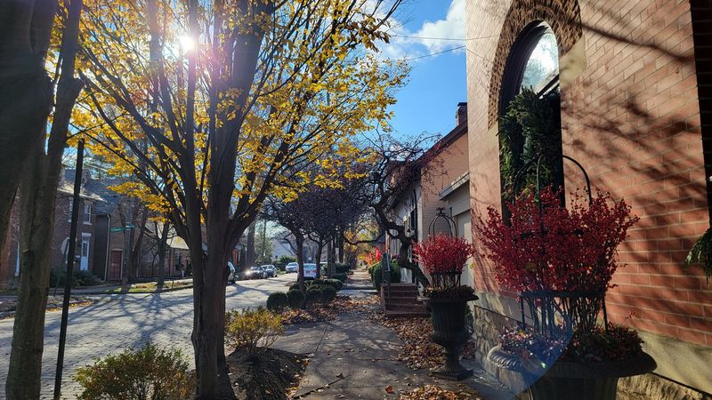 The German Village Setting That Makes It Feel Magical