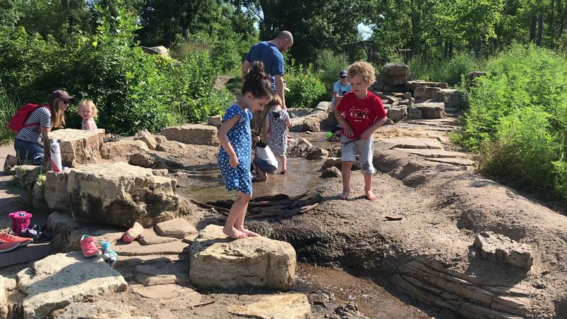 The Giant Nature Playground That Steals the Show The Giant Nature Playground That Steals the Show