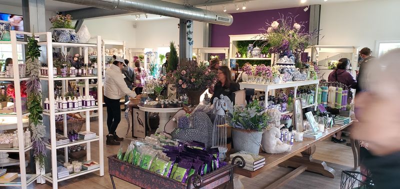 The Gift Shop Is Its Own Destination
