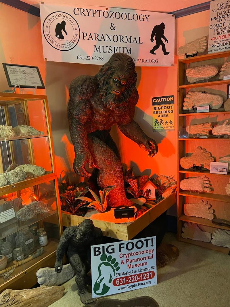 The Gift Shop and Souvenir Selection