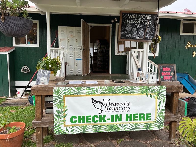 The Gift Shop and What Is Worth Bringing Home