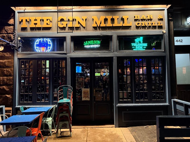 The Gin Mill The Gin Mill
