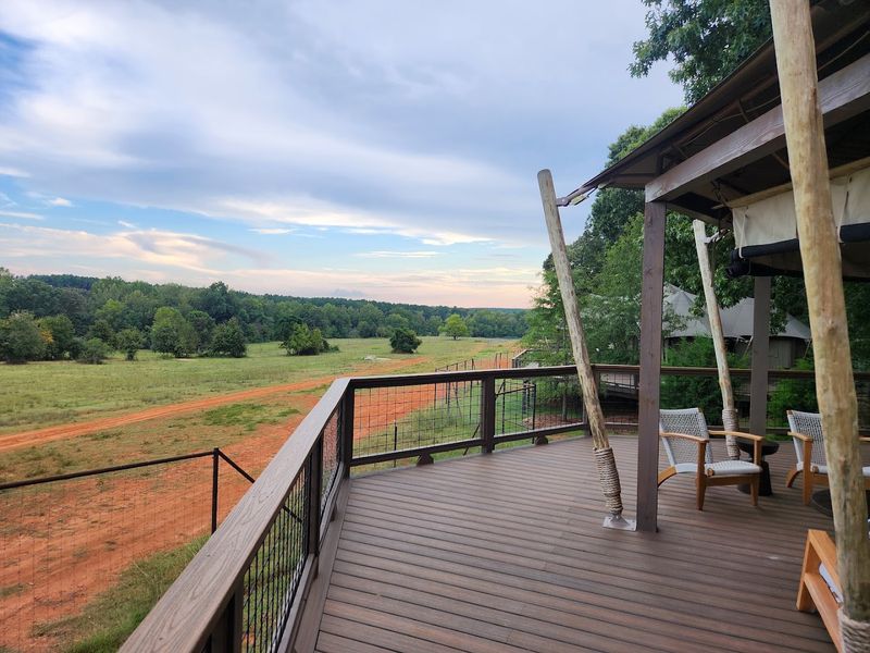 The Giraffe Suite: Waking Up to a View Worth Traveling For The Giraffe Suite: Waking Up to a View Worth Traveling For
