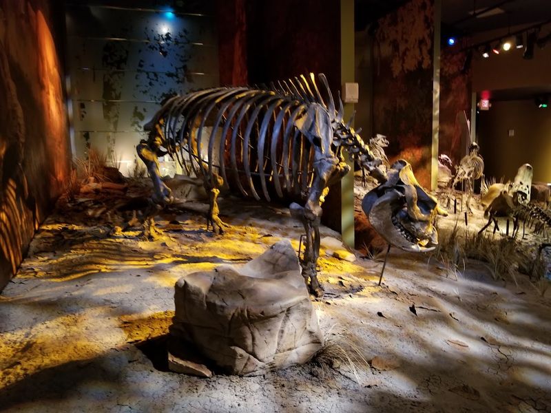 The Gray Fossil Site Reveals Tennessee's Prehistoric Past The Gray Fossil Site Reveals Tennessee's Prehistoric Past