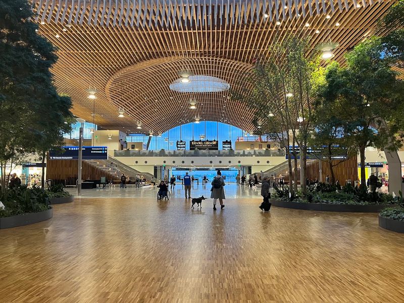 The Greenery and Natural Elements Inside the Terminal The Greenery and Natural Elements Inside the Terminal