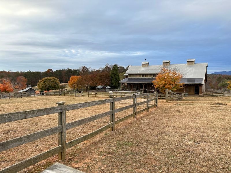 The Grounds: 91 Acres of Pure North Carolina Beauty