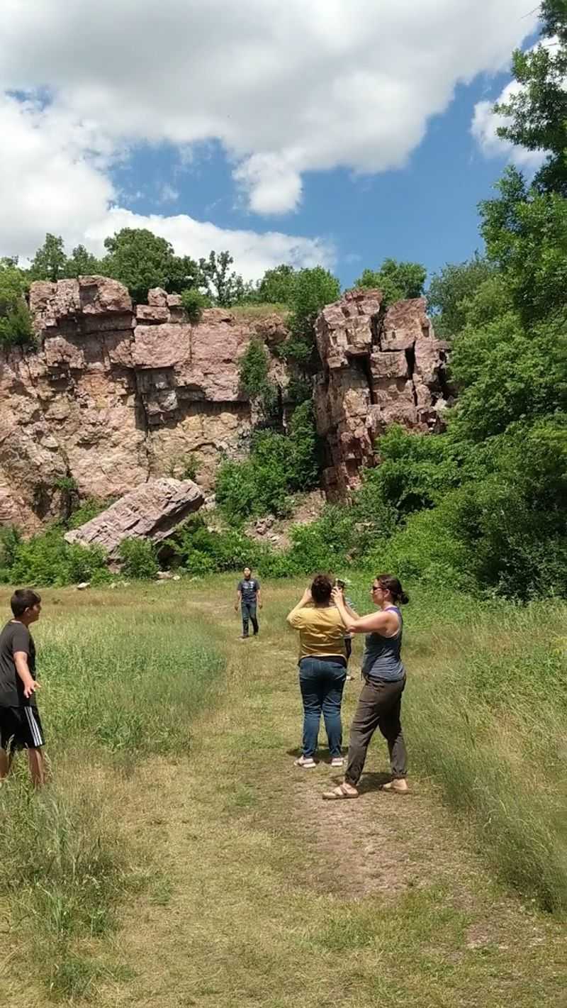 The Guided Bison Tour Worth Booking Early The Guided Bison Tour Worth Booking Early