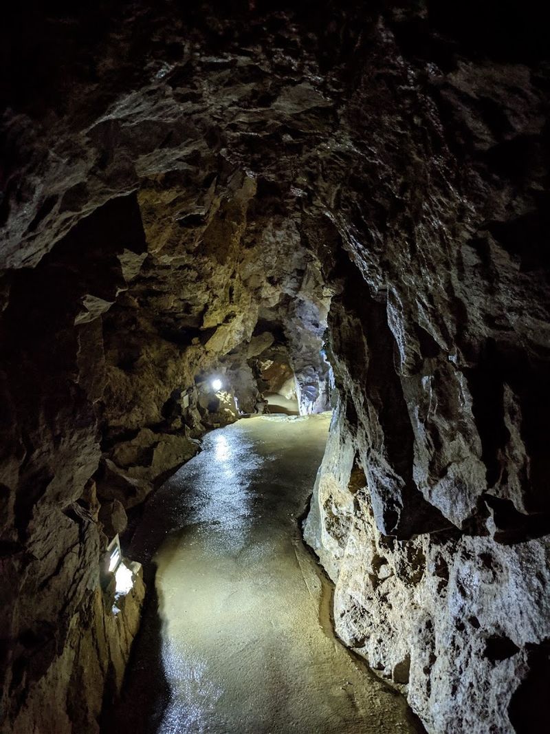 The Guided Tour Experience: What to Expect Underground The Guided Tour Experience: What to Expect Underground