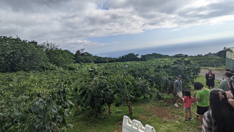 The Guides Who Bring the Farm to Life