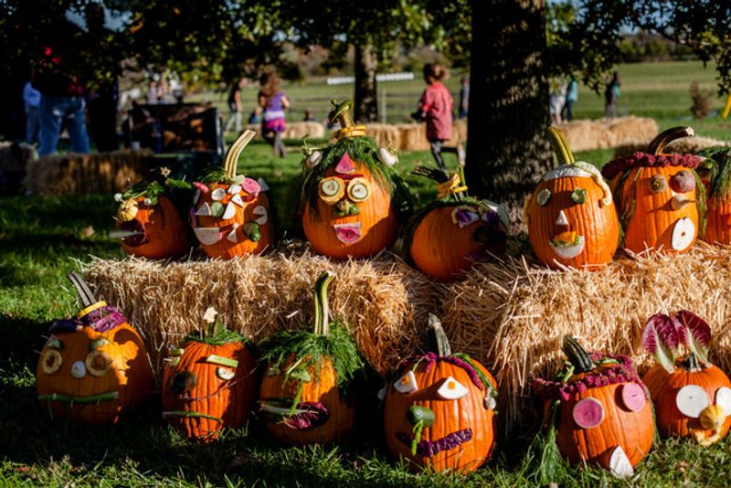 The Harvest Festival That Turns the Farm Into a Full-Day Event The Harvest Festival That Turns the Farm Into a Full-Day Event