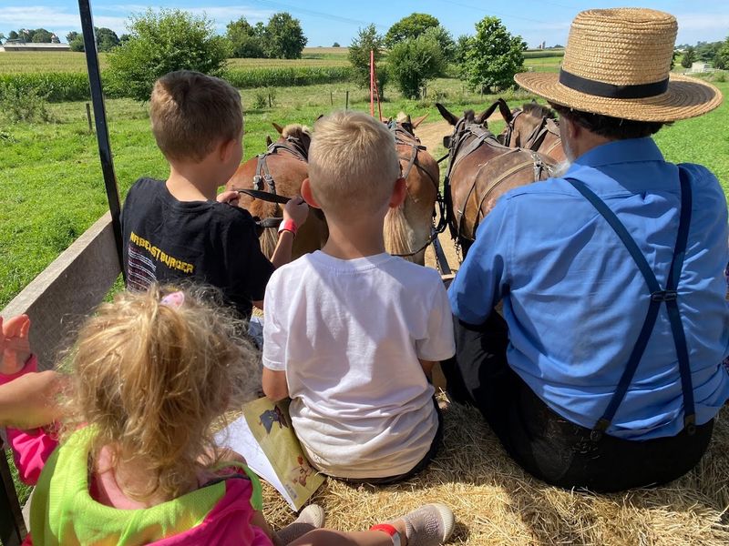 The Hayride That Lets Kids Take the Reins The Hayride That Lets Kids Take the Reins