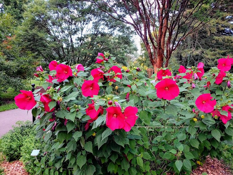 The Herb and Perennial Gardens Add a Whole New Layer The Herb and Perennial Gardens Add a Whole New Layer