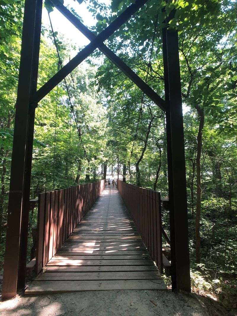 The Hidden Bridge Worth Searching For
