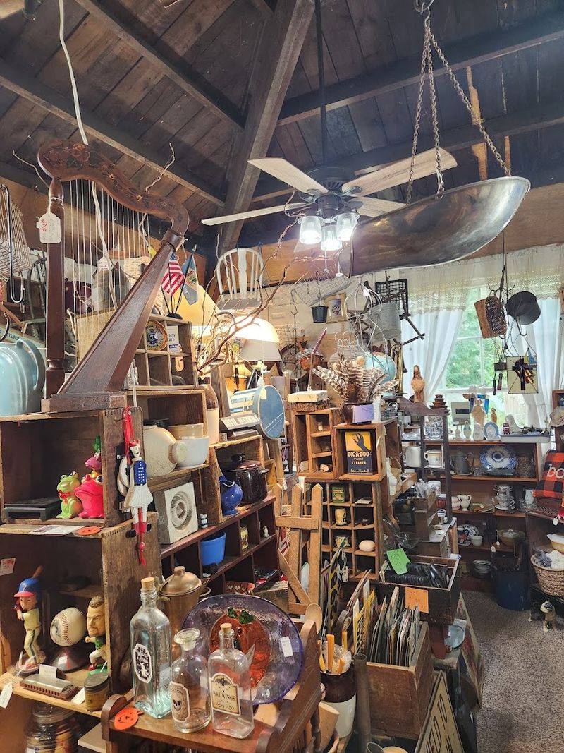 The Hidden Collectibles That Surprise Every Visitor The Hidden Collectibles That Surprise Every Visitor