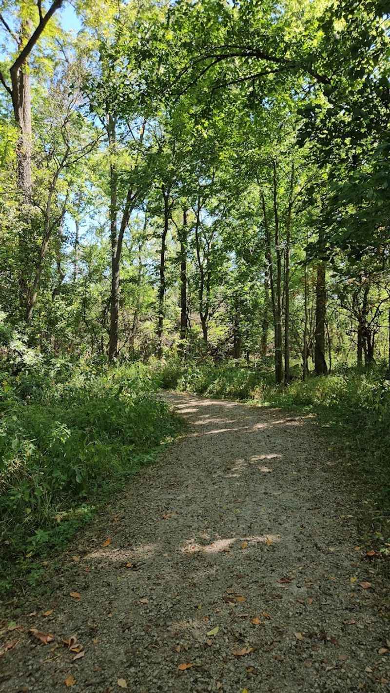 The Hiking Trails Beyond the Old-Growth Section The Hiking Trails Beyond the Old-Growth Section