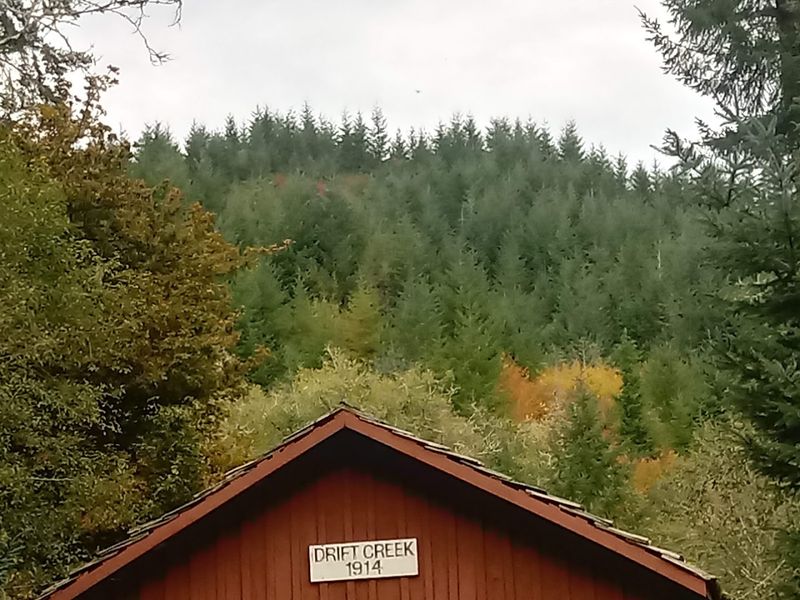 The Historical Significance of Oregon Covered Bridges