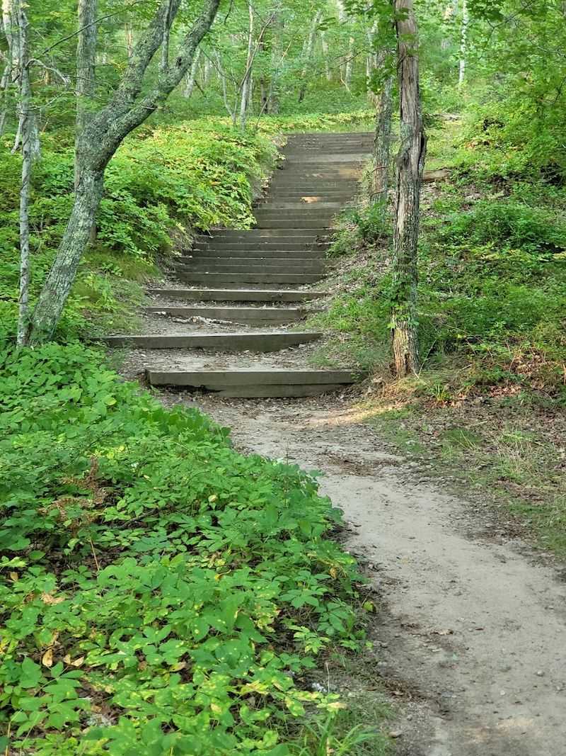 The History Behind The Park's Name And Origins The History Behind The Park's Name And Origins