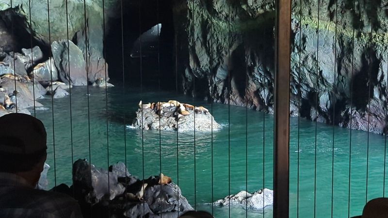 The History Behind This Remarkable Attraction The History Behind This Remarkable Attraction