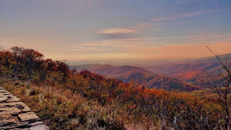 The History Behind the Park's Creation