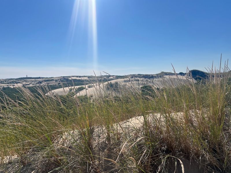 The History Behind the Sand The History Behind the Sand