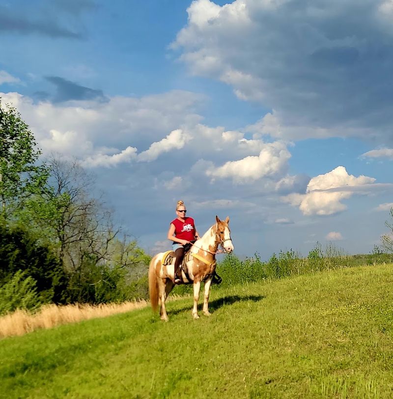 The Horses That Make It Work