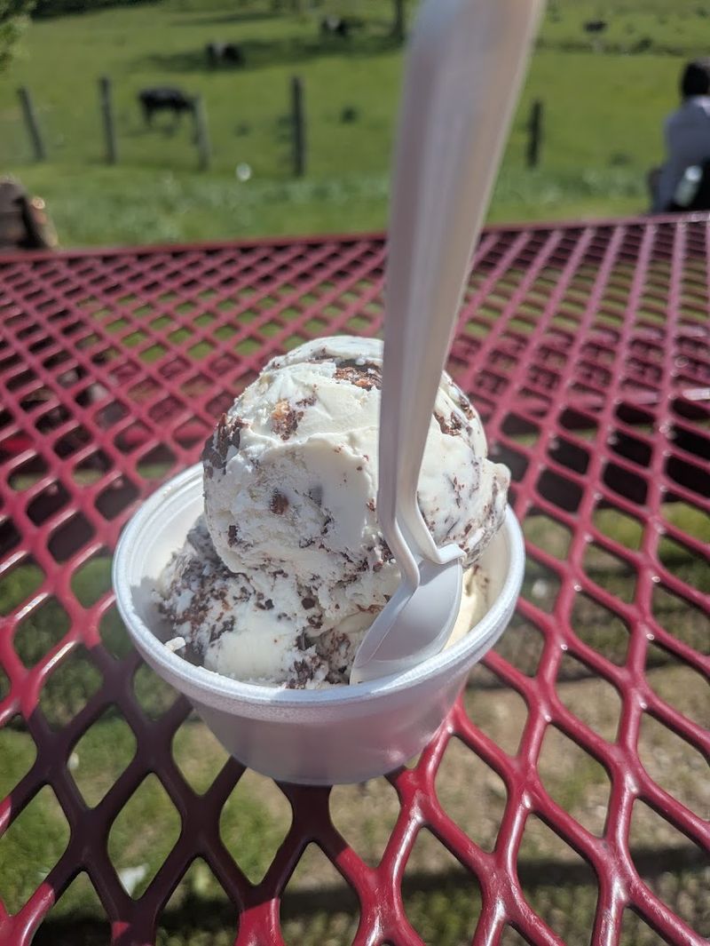The Ice Cream That People Drive Miles For The Ice Cream That People Drive Miles For