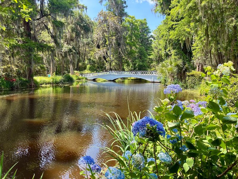 The Iconic White Bridges That Draw Photographers Year-Round The Iconic White Bridges That Draw Photographers Year-Round