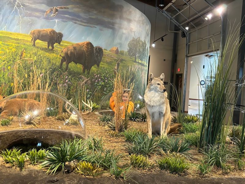 The Interpretive Center Inside The Interpretive Center Inside